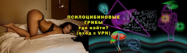амф Аркадак