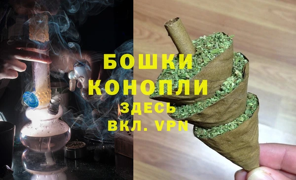 амф Аркадак
