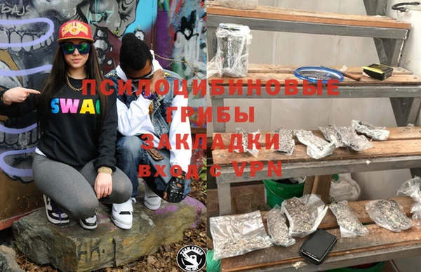 амф Аркадак
