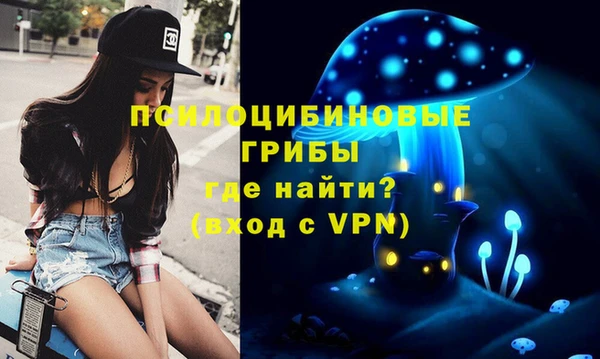 амф Аркадак