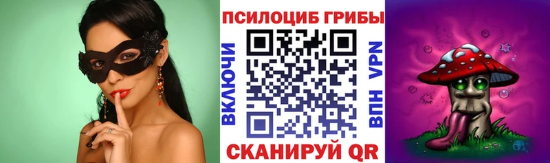 блэк спрут ссылки  где купить наркотик  Пущино  Псилоцибиновые грибы ЛСД 